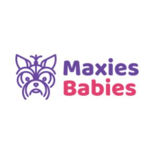 Puppies Maxine's 